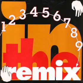 In The Remix In The Remix